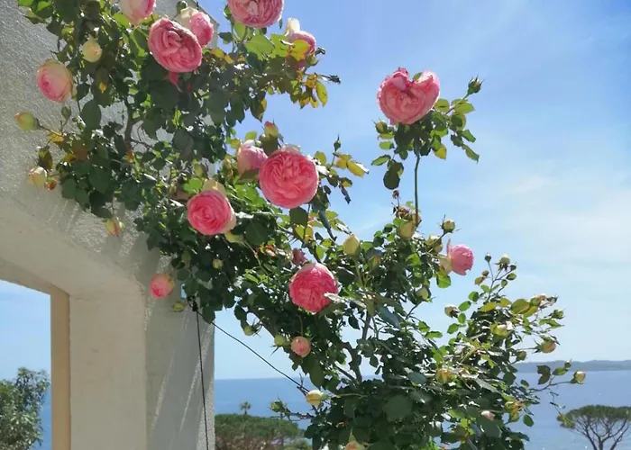 La Mereveil